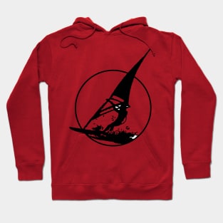 Wind Surfing Hoodie